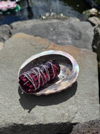 Abalone Muschel - klein